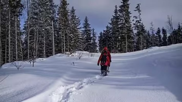 На Закарпатье нашли тело туриста из Запорожья, который заблудился возле села