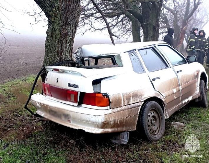 Под Мелитополем водитель на "ВАЗе" врезался в дерево